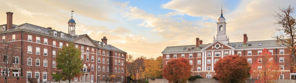 An enrollment analysis takes a wide view of a campus