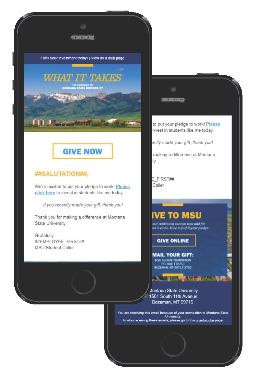 Higher education marketing awards winner: Montana State University