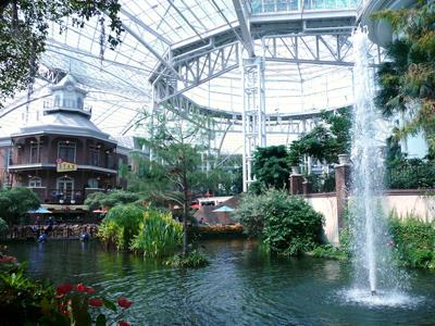 Make accommodations at the Gaylord Opryland Resort