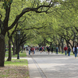 Austin College campus