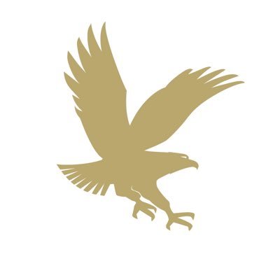 Embry-Riddle University eagle