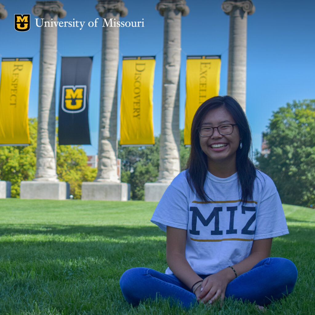 Digital Advertising for Fundraising: an example of a Mizzou