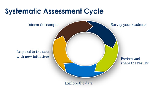 Systematic Student Assessment Cycle
