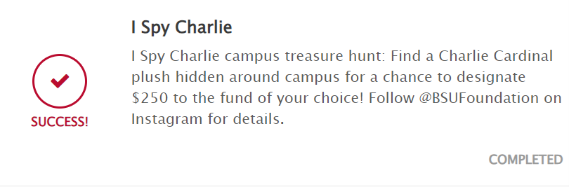Ball State University One Ball State "I Spy Charlie" campaign.